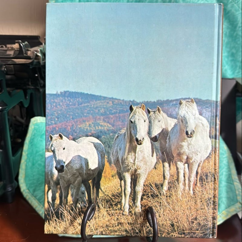 Horses in Color