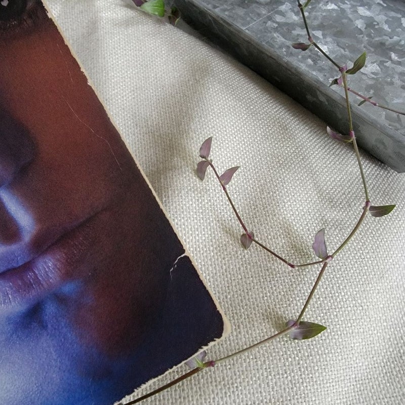 The Vampire Diaries: Stefan's Diaries #4: the Ripper