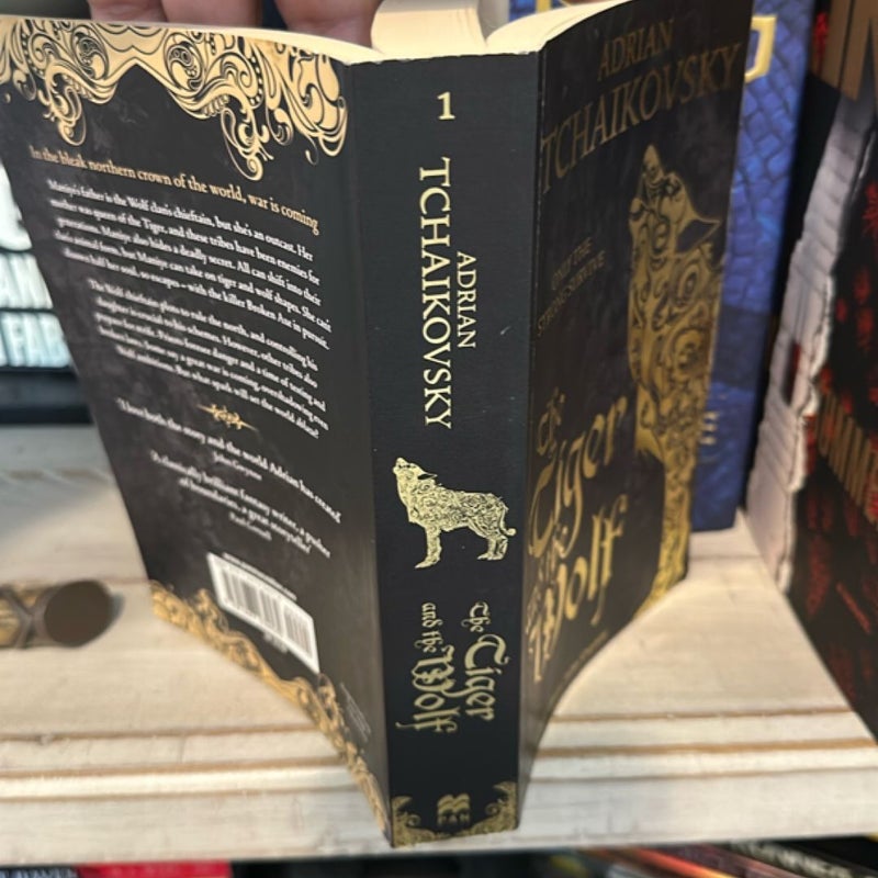 The Tiger and the Wolf: Echoes of the Fall 1