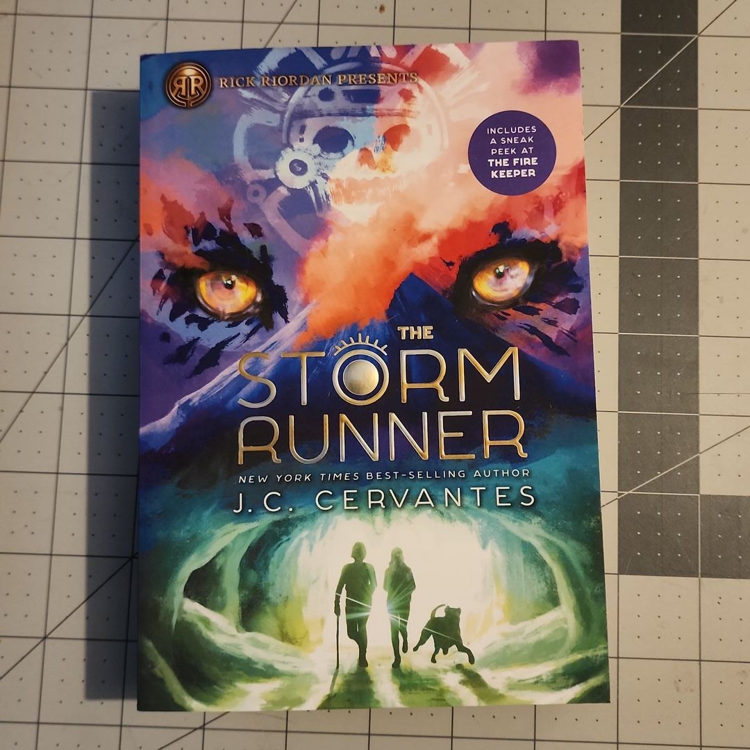 The Storm Runner