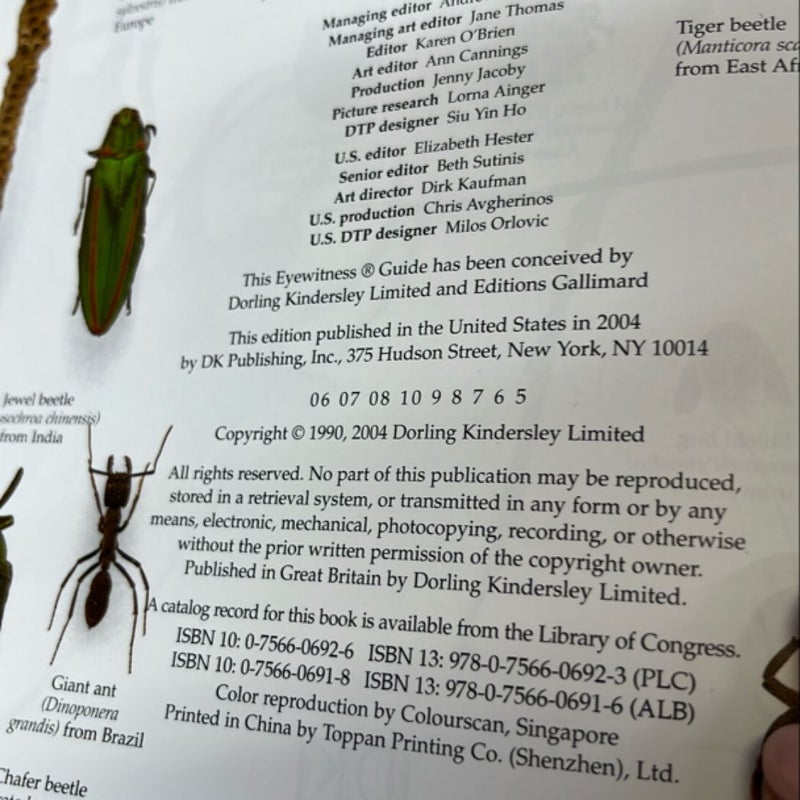 Insect