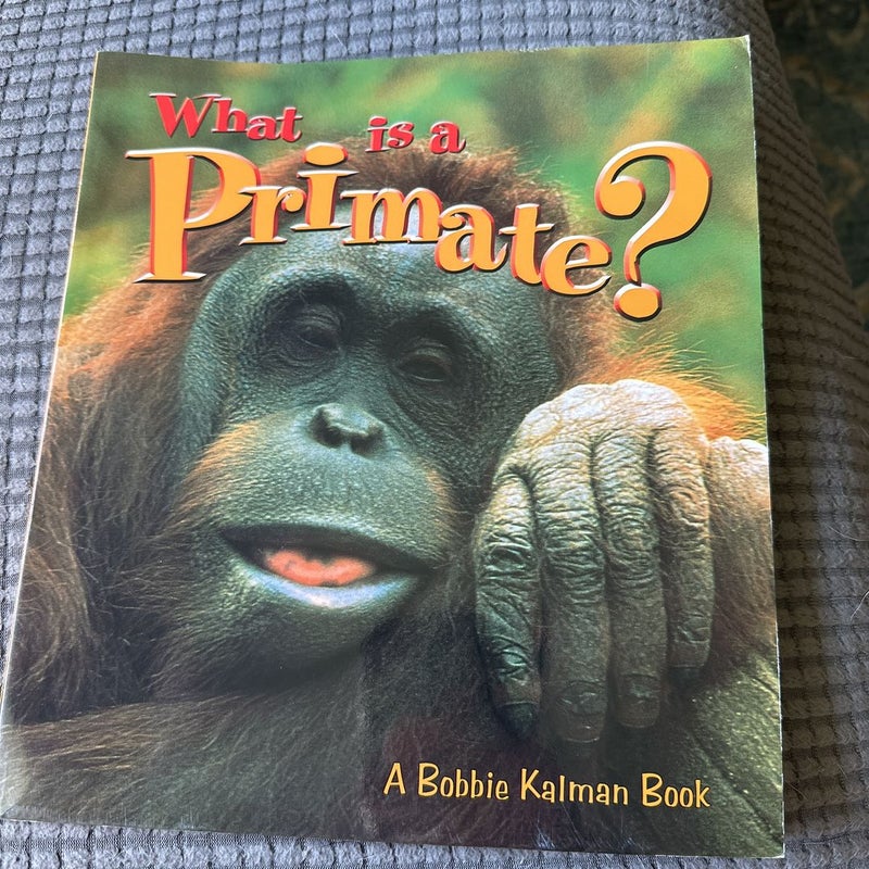 What Is a Primate?