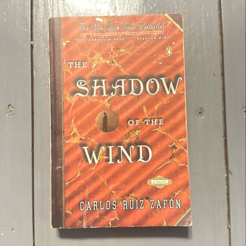 The Shadow of the Wind