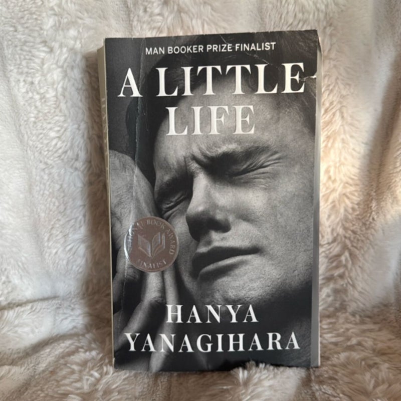 A Little Life
