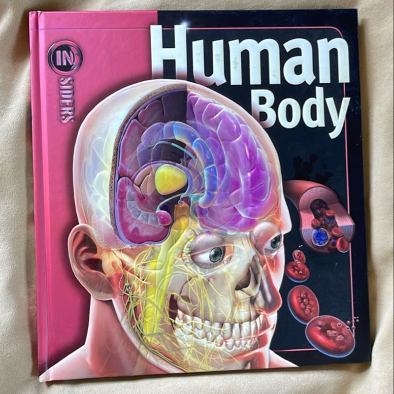 Human Body