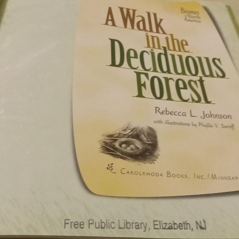 A Walk in the Deciduous Forest