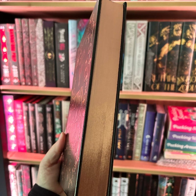 The Five Points Mob Series (Dark & Quirky Special Edition)