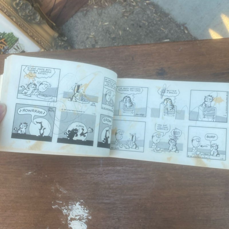 Garfield takes the Cake