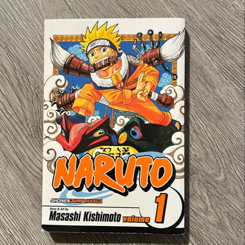 Naruto, Vol. 1