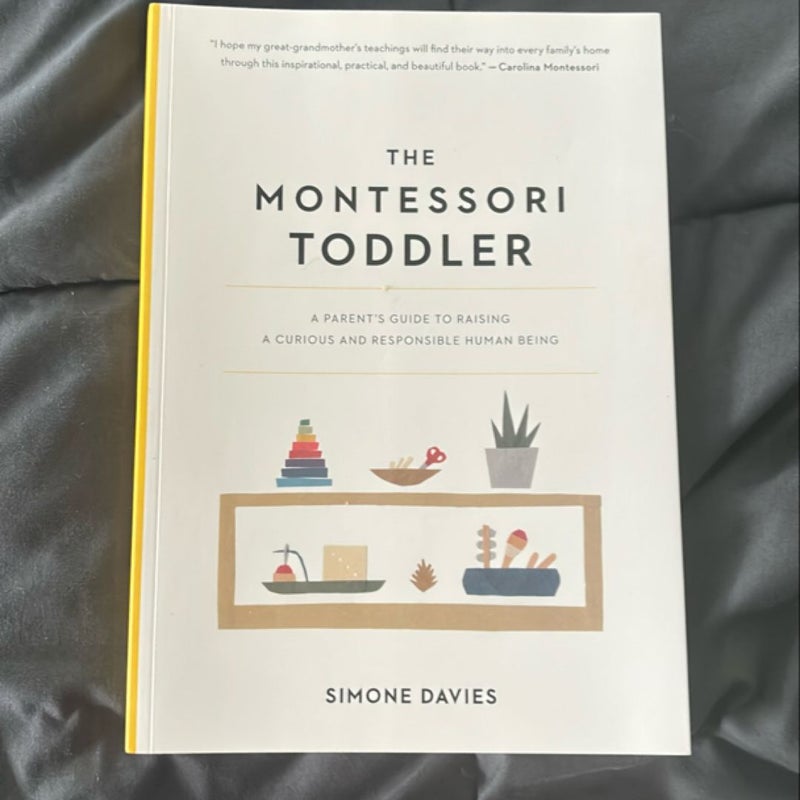 The Montessori Toddler