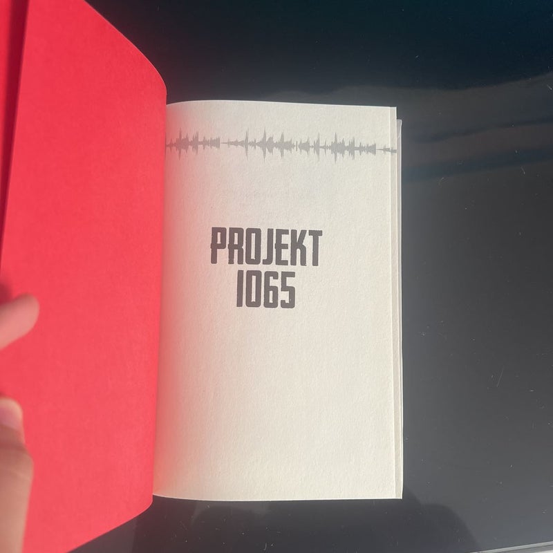 Projekt 1065