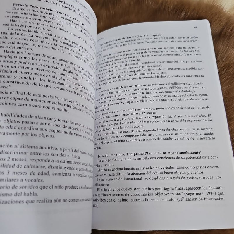 Neuropsicolingüistica