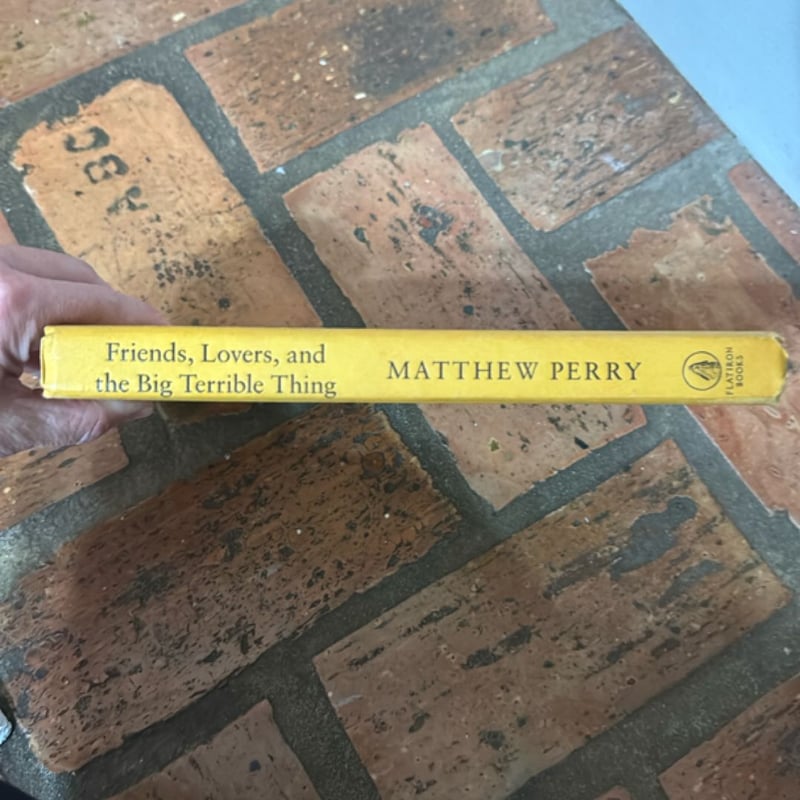 Friends, Lovers, and the Big Terrible Thing