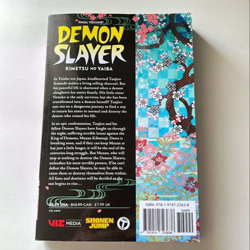 Demon Slayer: Kimetsu No Yaiba, Vol. 23