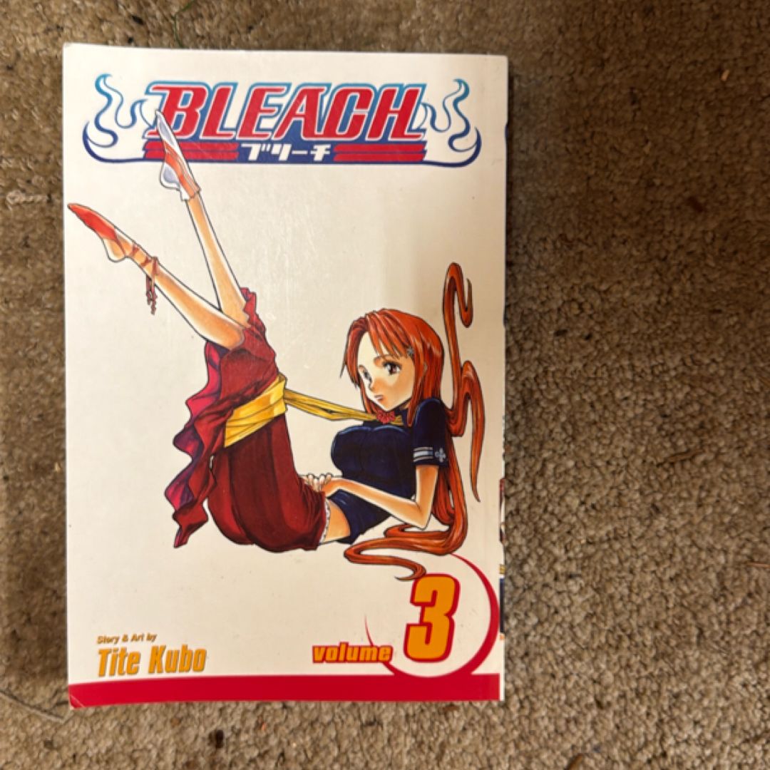 Bleach, Vol. 3