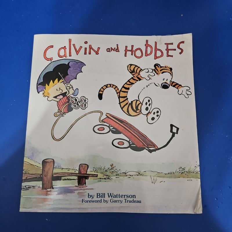 Calvin and Hobbes