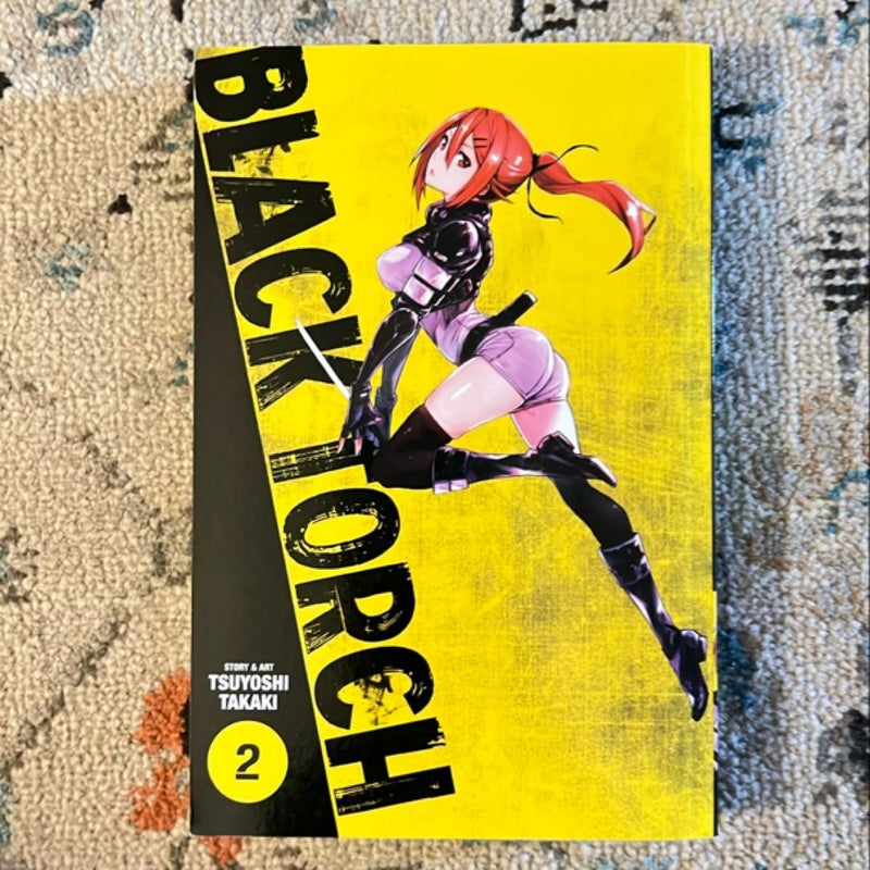 Black Torch, Vol. 2