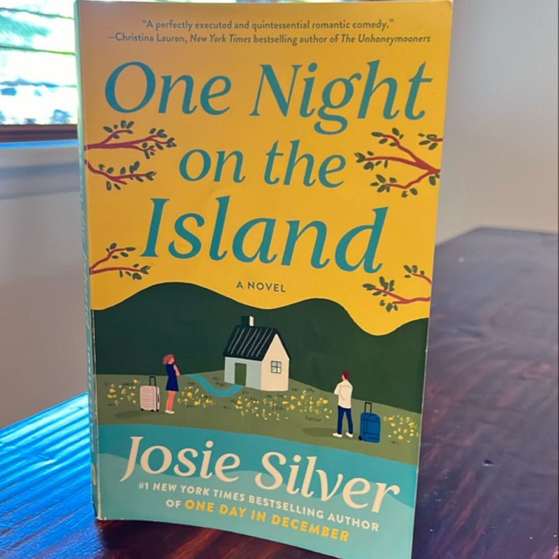 One Night on the Island