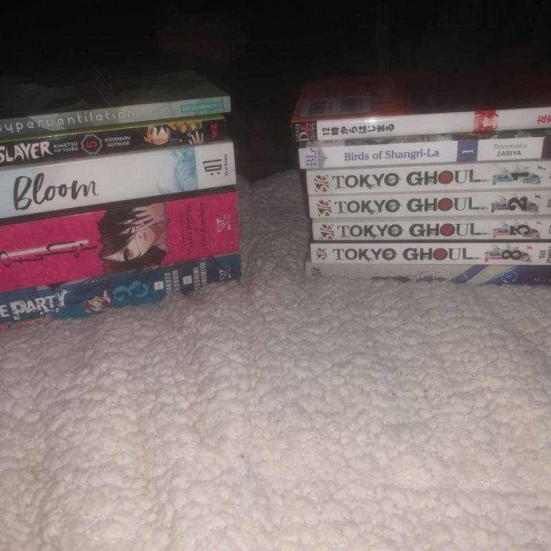 Manga bundle 