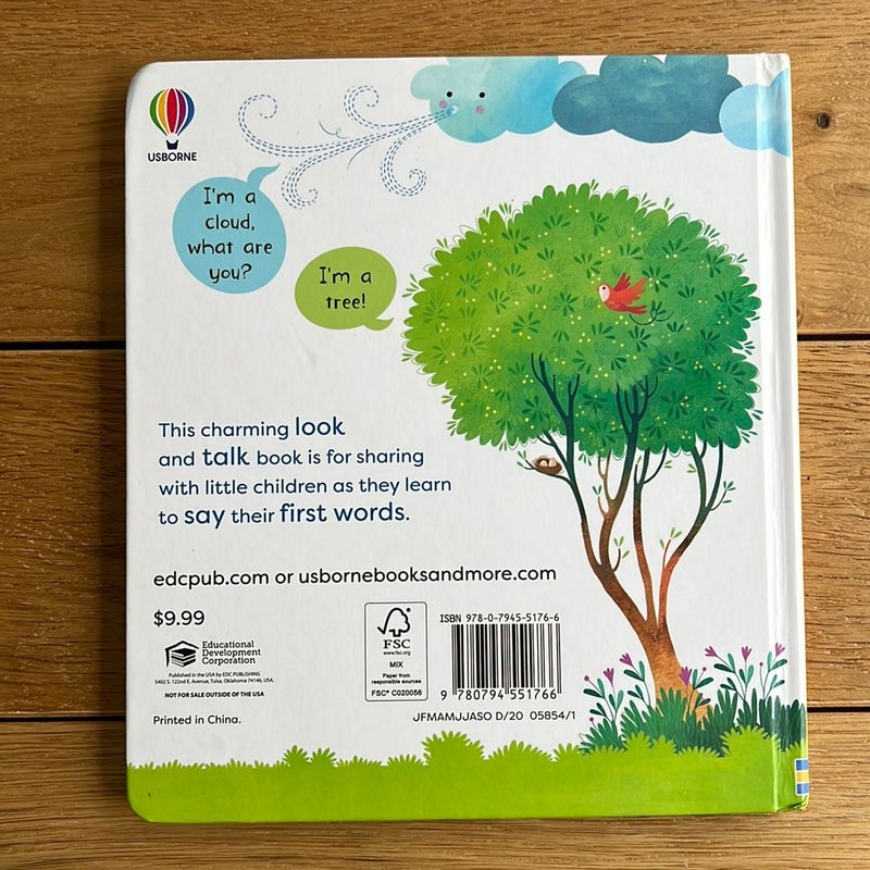 First Words Book by Usborne