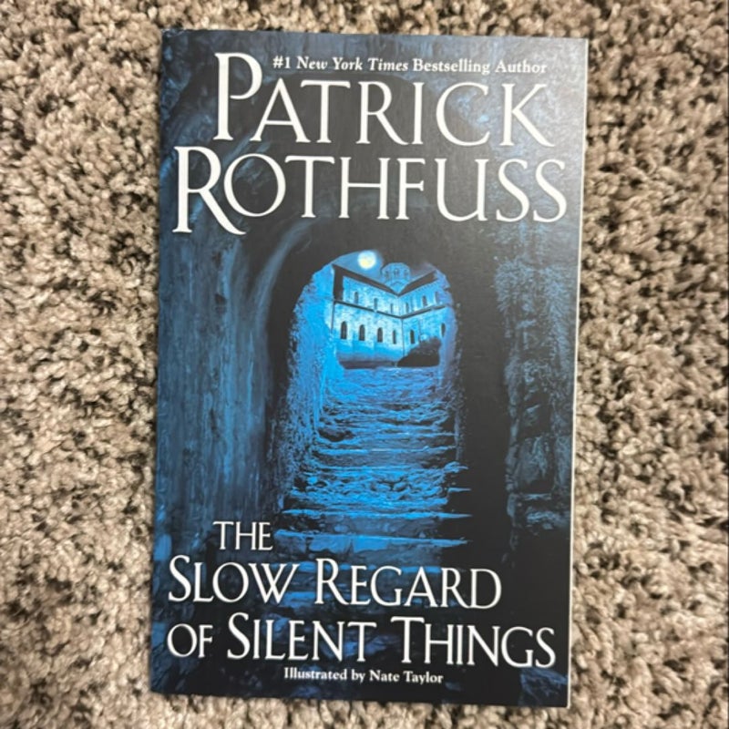 The Slow Regard of Silent Things