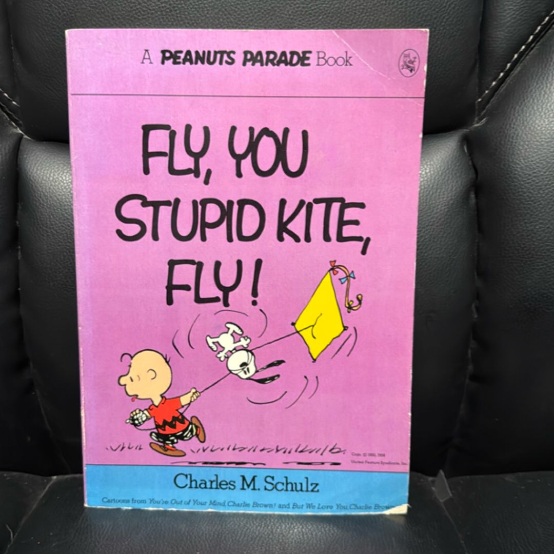 Fly, You Stupid Kite, Fly!