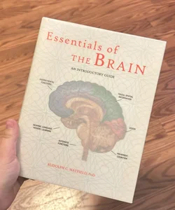 Essentials of the Brain