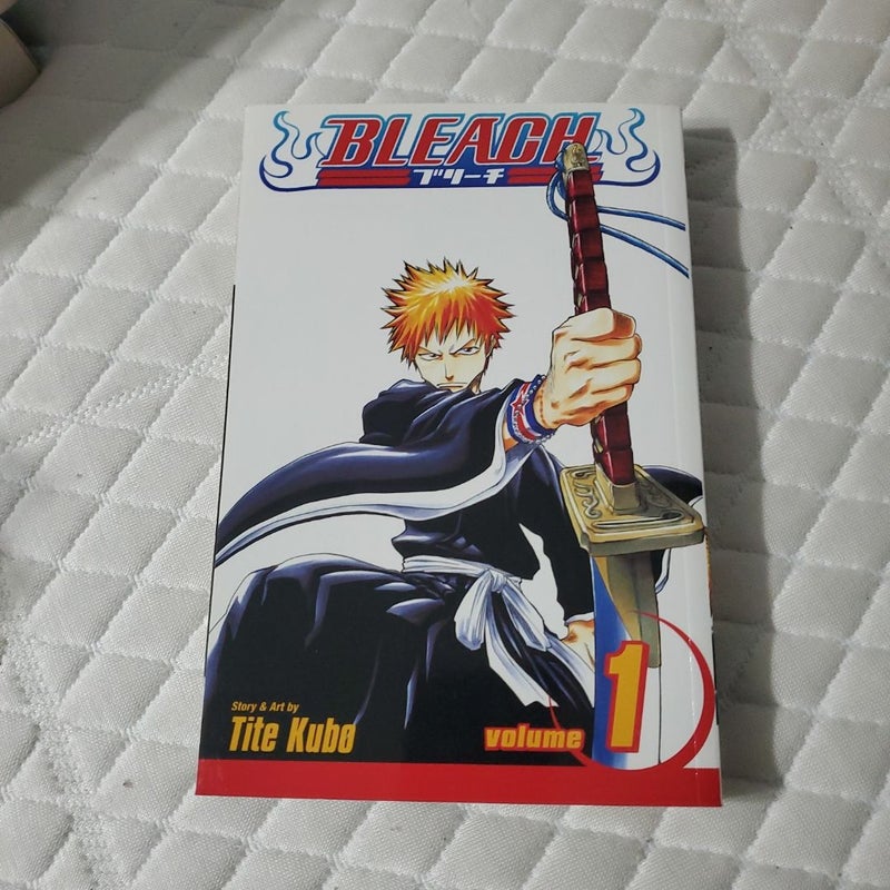 Bleach, Vol. 1