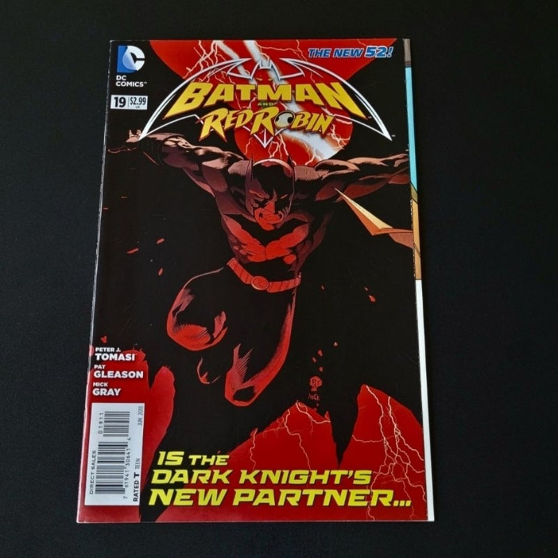 Batman And Robin #19