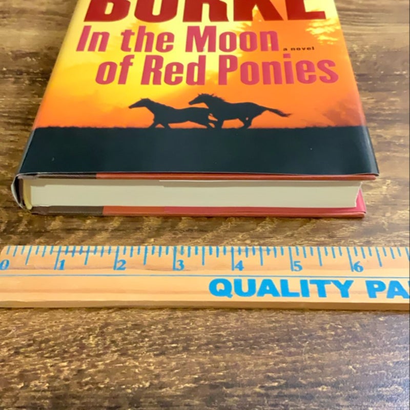 In the Moon of Red Ponies