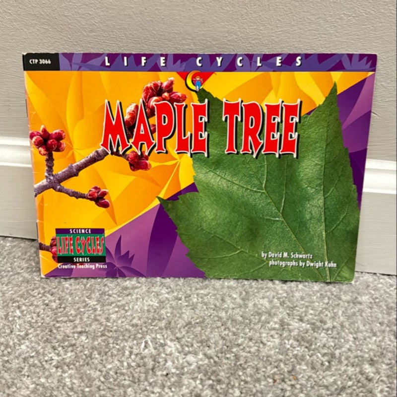 Maple Tree