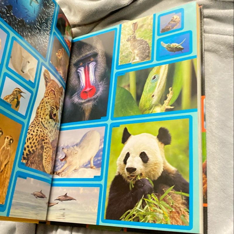 Animal Encyclopedia