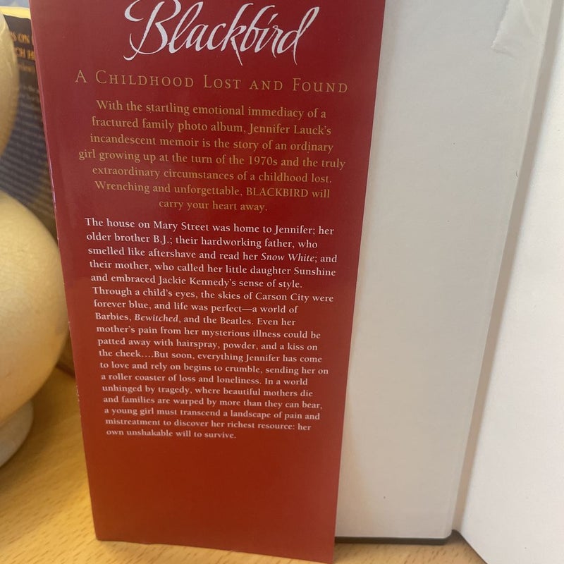 Blackbird