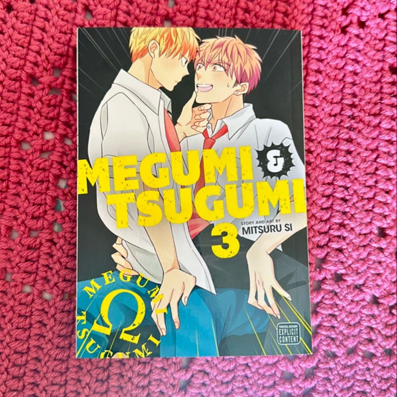 Megumi and Tsugumi, Vol. 3