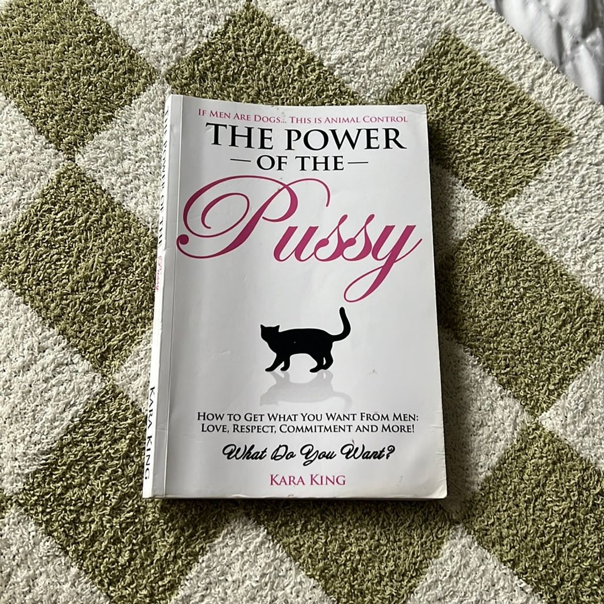 the-power-of-the-pussy-by-kara-king-paperback-pangobooks