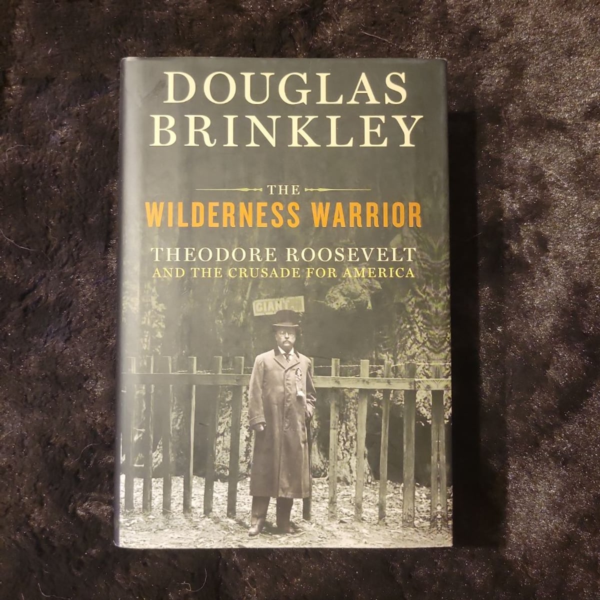 The Wilderness Warrior by Douglas Brinkley