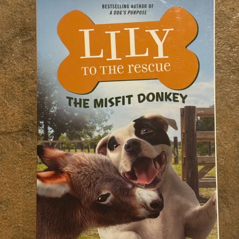 Lily to the Rescue: the Misfit Donkey