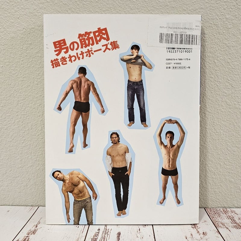 Poses for drawing Men's Muscles - from slim to macho