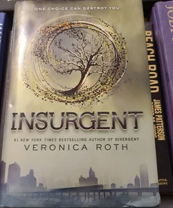 Insurgent