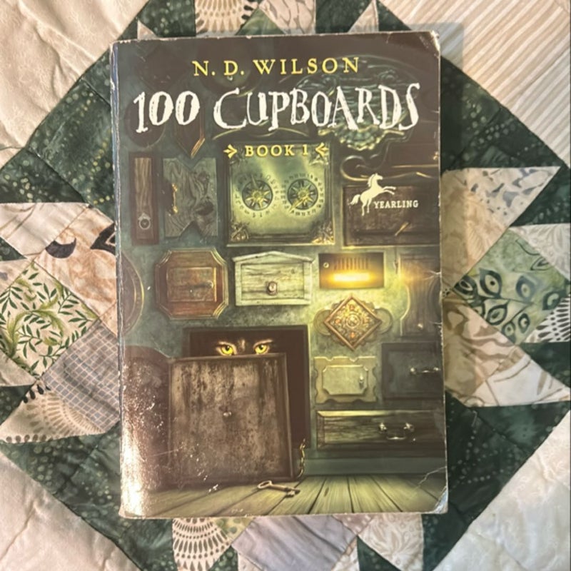 100 Cupboards (100 Cupboards Book 1)