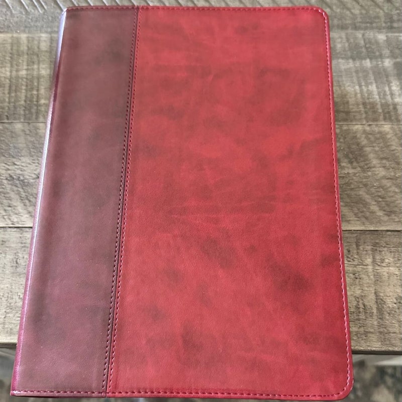 ESV Study Bible