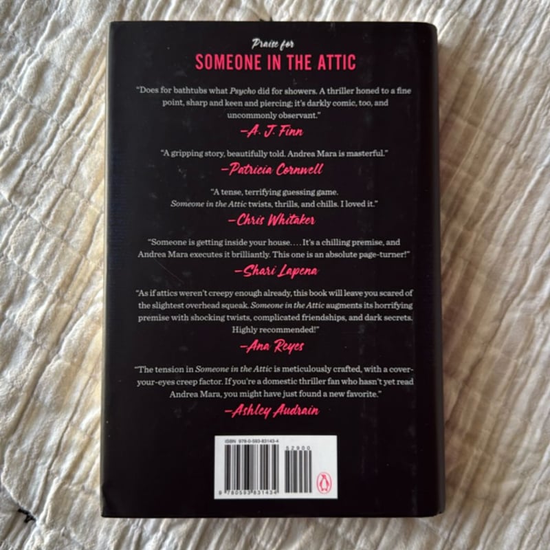 Someone in the Attic