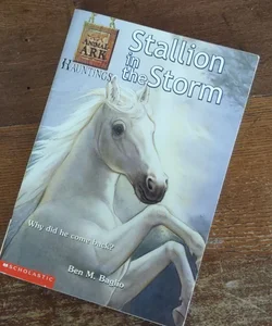 Stallion in the Storm