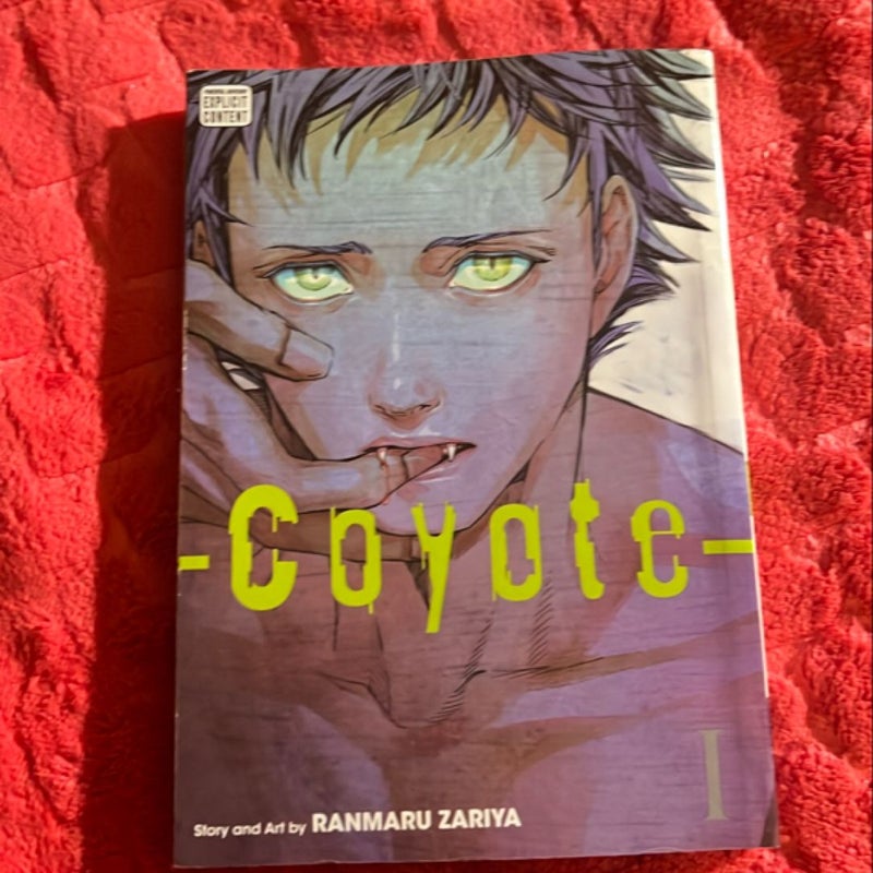 Coyote, Vol. 1