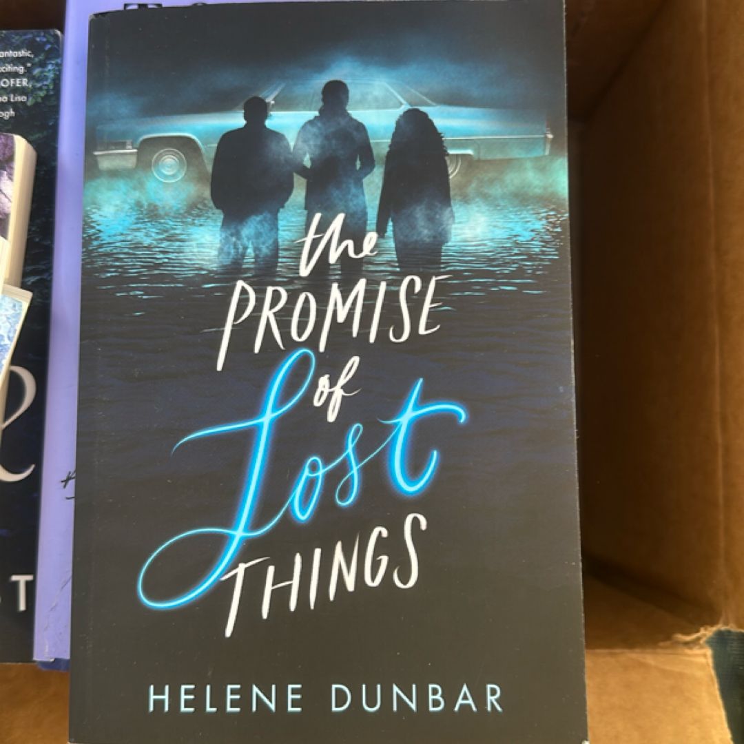 The Promise of Lost Things