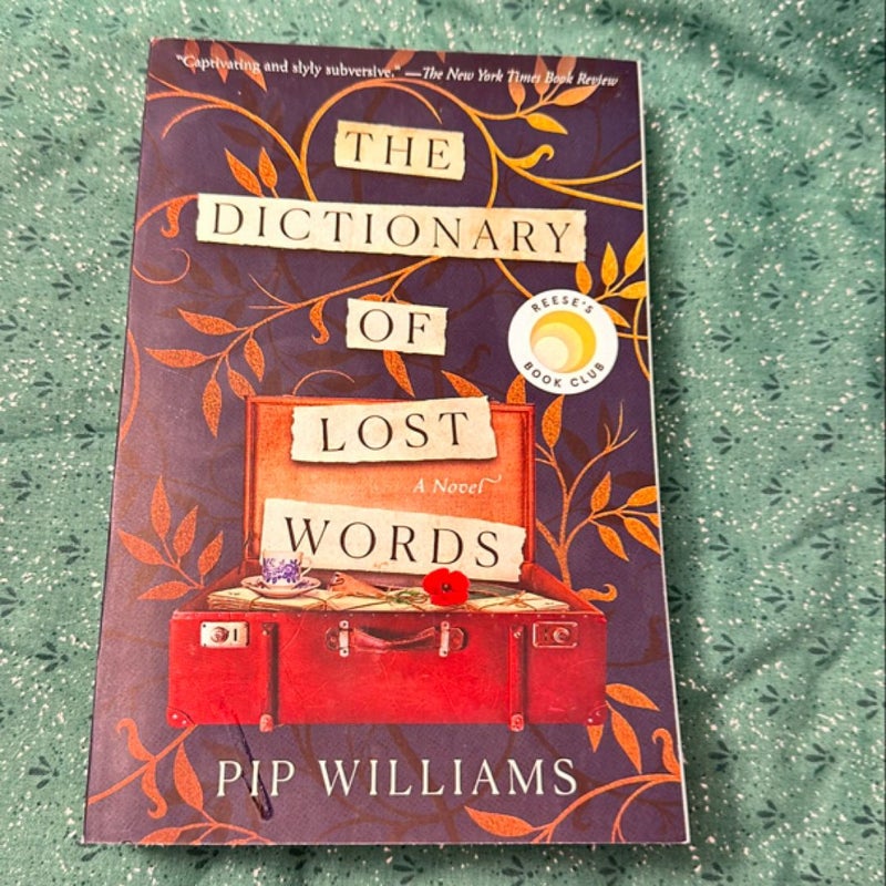 The Dictionary of Lost Words