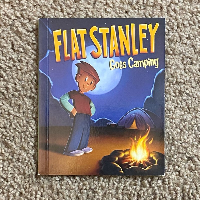 Flat Stanley goes to camp