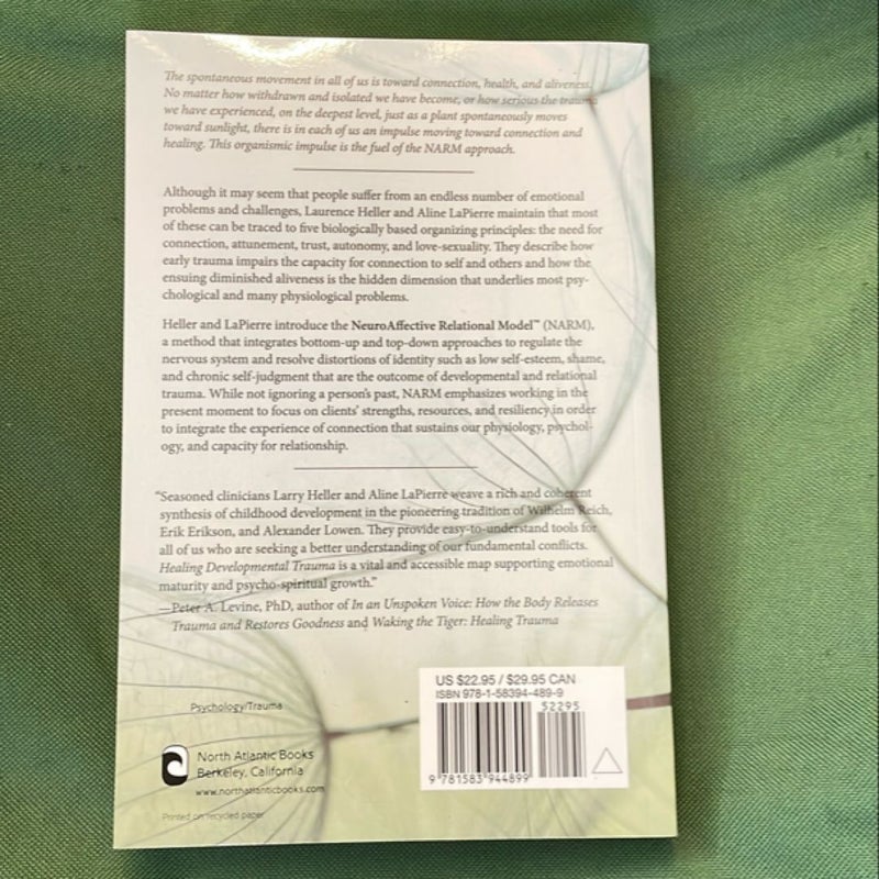 Healing Developmental Trauma