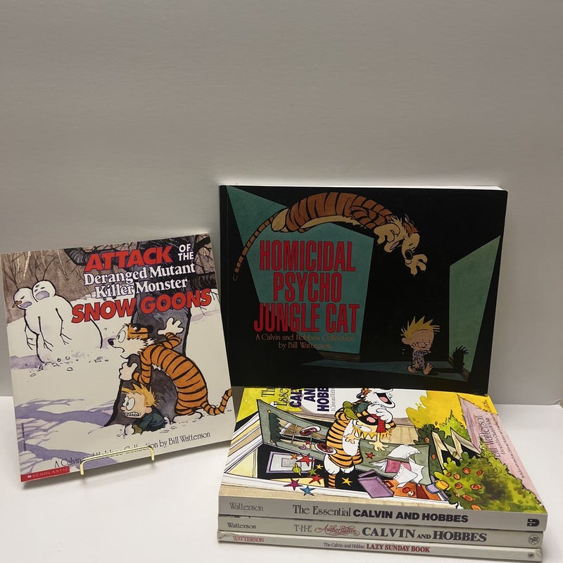 Calvin and Hobbes Comic  ( 5 Book) Bundle