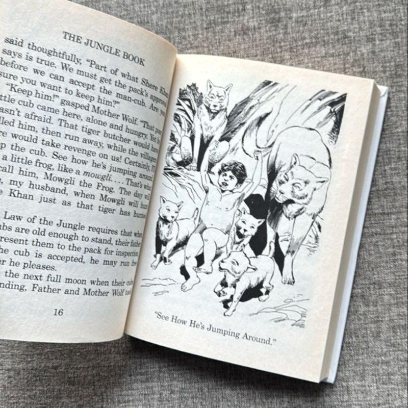 Great Illustrated Classics The Jungle Book